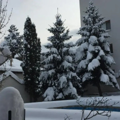 Отель Guest House "Momchil"