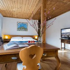 Отель Bernina 1865 Швейцария, Самедан - отзывы, цены и фото номеров - забронировать отель Bernina 1865 онлайн детские мероприятия