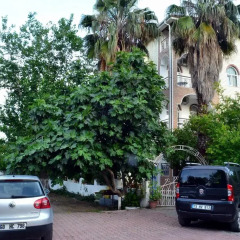 Ipek Hotel Camyuva парковка