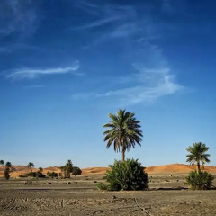 Отель Morocco Desert Trek Марокко, Мерзуга - отзывы, цены и фото номеров - забронировать отель Morocco Desert Trek онлайн пляж фото 2