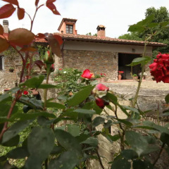 Отель Casa Al Bosco Реггелло фото 9