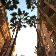 Отель Downtown LA Corporate Apartments США, Лос-Анджелес - отзывы, цены и фото номеров - забронировать отель Downtown LA Corporate Apartments онлайн фото 15