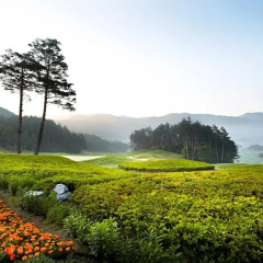 Отель Yongpyong Resort Dragon Valley Hotel Южная Корея, Пхёнчан - отзывы, цены и фото номеров - забронировать отель Yongpyong Resort Dragon Valley Hotel онлайн приотельная территория фото 2