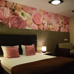 Plaza Hotel 3* Стандартный номер с различными типами кроватей фото 15