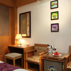 Golden Palace Hotel 3* Номер Делюкс с различными типами кроватей фото 7