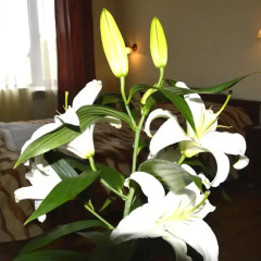 Spa & Apartment Hotel Mountain Romance 3* Апартаменты с различными типами кроватей фото 23