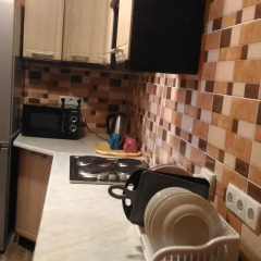 Гостиница Guest House Stari Druzy в номере