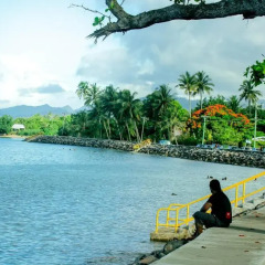Отель Ulalei Lodge Самоа, Уполу - отзывы, цены и фото номеров - забронировать отель Ulalei Lodge онлайн приотельная территория фото 2