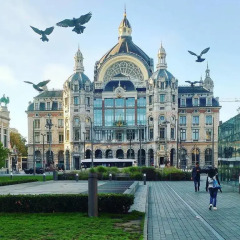 Отель Ibis Antwerpen Centrum Бельгия, Антверпен - 1 отзыв об отеле, цены и фото номеров - забронировать отель Ibis Antwerpen Centrum онлайн фото 6