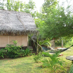 Отель Village Garden Inn Стандартный номер с различными типами кроватей фото 6