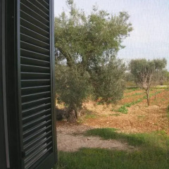 Отель B&B Quattrolinari Конверсано парковка