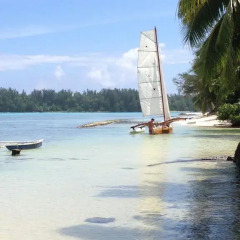 Отель Moorea Beach Lodge фото 2