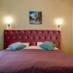 Nevskij Ryad-Pushkinskaya Mini-Hotel Санкт-Петербург комната для гостей фото 2