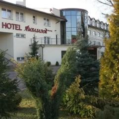 Hotel Ambasador Chojny 3* Стандартный номер с различными типами кроватей фото 3