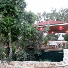 Eucalyptus Pension Турция, Патара - отзывы, цены и фото номеров - забронировать отель Eucalyptus Pension онлайн парковка