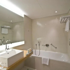 Radisson Blu Hotel, Frankfurt 4* Стандартный номер с различными типами кроватей фото 4