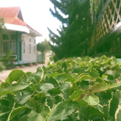 Nanda Wunn Hotel - Hostel фото 14
