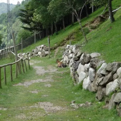 Отель Apartamentos Rurales Les Barnedes Мольо приотельная территория фото 2