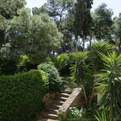 Отель Kavouri Flat Греция, Афины - отзывы, цены и фото номеров - забронировать отель Kavouri Flat онлайн фото 3