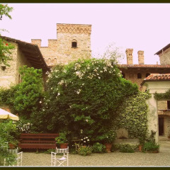 Отель Castello Di Strambinello Италия, Шампорше - отзывы, цены и фото номеров - забронировать отель Castello Di Strambinello онлайн