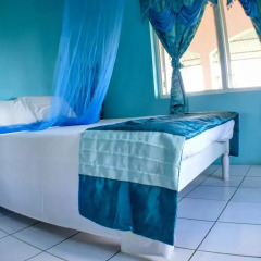 Отель Ackee Tree Sea View Villa спа