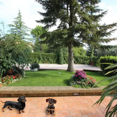 Отель B&B Ines Потенца-Пичена фото 7