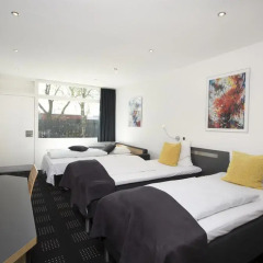 Hotel Hedegaarden 3* Стандартный номер с различными типами кроватей фото 2