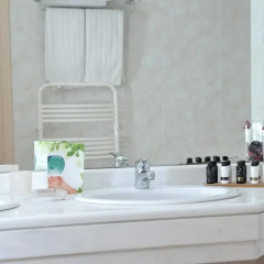 Athens Atrium Hotel and Suites 4* Полулюкс с различными типами кроватей фото 8