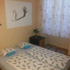White Rabbit Hostel Будапешт детские мероприятия