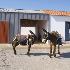 Отель Quinta De SÃo Gabriel Кастру-Марин спортивное сооружение