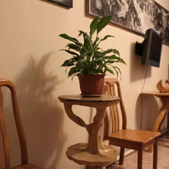 Отель Guest House Crocus Бишкек удобства в номере фото 2