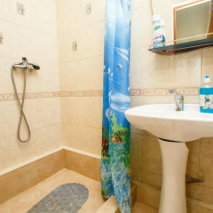 Гостиница Sochi Olympic Villa Номер Делюкс с различными типами кроватей фото 18