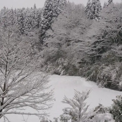 Отель Ryokan Ichinoi Минамиогуни фото 4