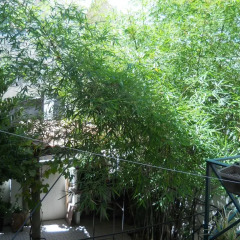 Отель Lapa House балкон