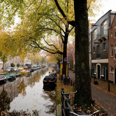 Отель Lijnbaan Canal View Apartment Нидерланды, Амстердам - отзывы, цены и фото номеров - забронировать отель Lijnbaan Canal View Apartment онлайн приотельная территория