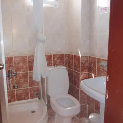 Aloe Apart Hotel 3* Стандартный номер с различными типами кроватей фото 5