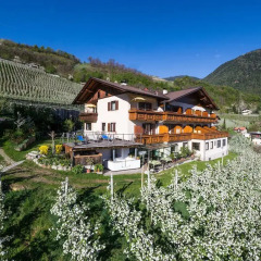 Panorama Hotel Garni Bühlerhof Лана приотельная территория