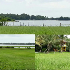 Отель Lake View Cottage Шри-Ланка, Тиссамахарама - отзывы, цены и фото номеров - забронировать отель Lake View Cottage онлайн пляж