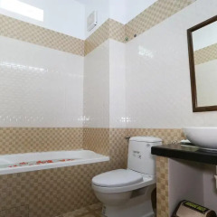 Отель Phoenix Homestay Hoi An 2* Номер Делюкс с различными типами кроватей фото 12