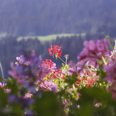 Отель Nagelehof Рачинес-Ратскингс фото 6