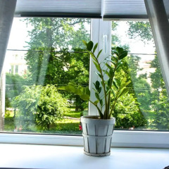 Yoga Hostel Zelenaya Tara Кровать в мужском общем номере с двухъярусной кроватью фото 4