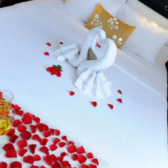 Orchid Hotel 3* Стандартный номер с различными типами кроватей фото 8