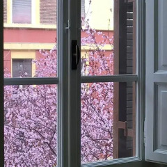 Отель Nucleus Holidays - Vatican Rome спа