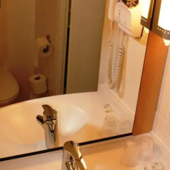 Отель ibis Brussels Expo-Atomium Бельгия, Брюссель - отзывы, цены и фото номеров - забронировать отель ibis Brussels Expo-Atomium онлайн ванная