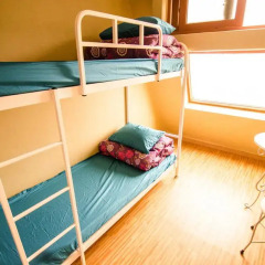Kimchee Sinchon Guesthouse - Hostel Стандартный номер с 2 отдельными кроватями фото 3