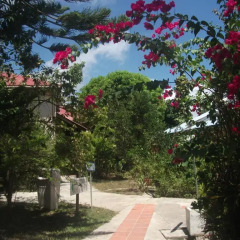 Hotel Le Rotabas фото 14
