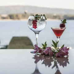 Talaso Hotel Louxo La Toja гостиничный бар