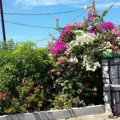 Отель Edens Gate Ямайка, Монастырь - отзывы, цены и фото номеров - забронировать отель Edens Gate онлайн