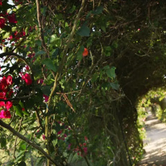 Отель Quinta Da Praia Das Fontes фото 20