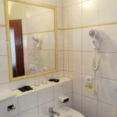 Elen's Hotel Arlington Prague 3* Номер Эконом с разными типами кроватей фото 4
